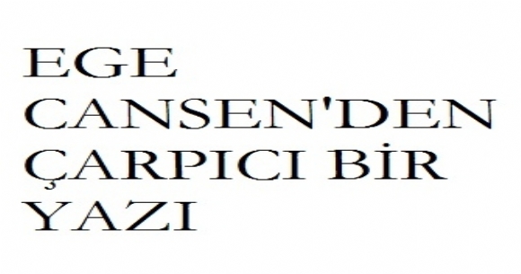 Ege Cansen'den sarsc bir yaz